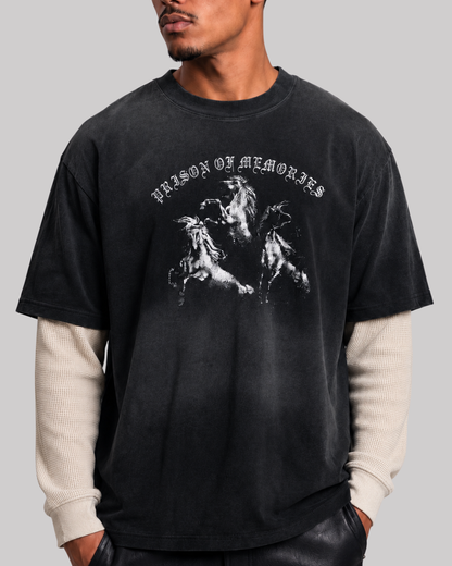 STALLIONS WAFFLE T